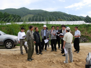 2004 Ȯ(â)